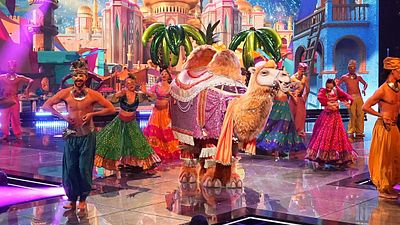 image de la news Mask Singer : qui se cachent sous le Husky, la Sorcière, l’Alien et le Chameau ? On résume les indices et les hypothèses