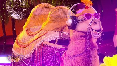 image de la news "On a eu la preuve que c’est bien truqué", les téléspectateurs sidérés par la qualification du Chameau dans Mask Singer