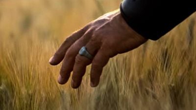 image de la news Ce soir à la télé : noté 4,5 sur 5, c'est l'un des sommets du péplum et du film d'aventure