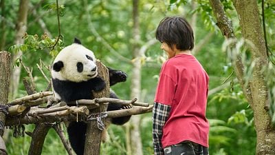 image de la news Moon le panda : après Mia et le Lion blanc, ce film va émouvoir toute la famille !