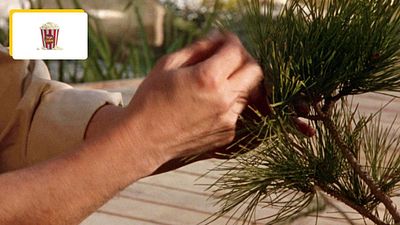 image de la news Ce film des années 80 est tellement culte qu'il a même eu droit à sa série animée !