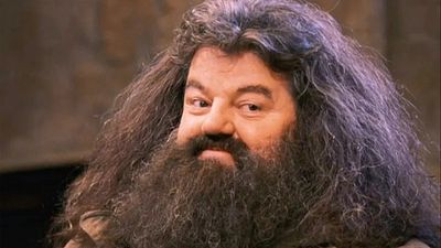 image de la news Harry Potter : l’interprète d’Hagrid dans la nouvelle série promet qu’il ne va pas copier les films