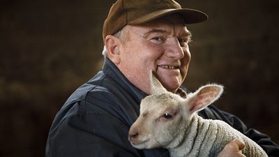 image de la news L'amour est dans le pré 2024 (portrait) : qui est Pascal alias "Bobosse", le timide éleveur de vaches ?