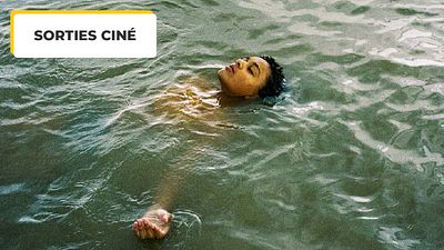 image de la news Bird au cinéma : le film qui démarre l'année 2025 en beauté