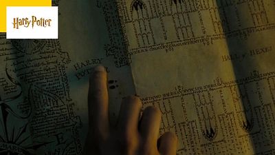 image de la news Le meilleur film Harry Potter selon les spectateurs, c’est lui !