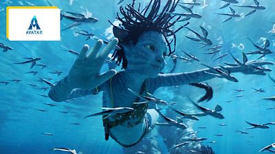 image de la news Avatar 3 : des nouvelles images et des "scènes d'action très intelligentes" promises par James Cameron