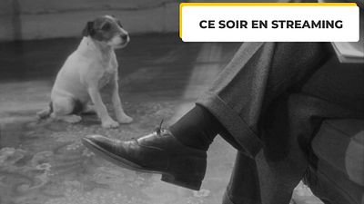 image de la news Ce soir entre amis : réalisé il y a 13 ans, ce film a accompli un exploit inédit dans l'Histoire du cinéma