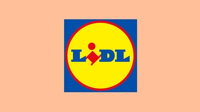 image de la news Lidl : ce n'est pas une erreur de prix, ce support mural TV noté 5/5 est à seulement 9,99 euros sur le site