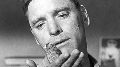 image de la news Ce soir à la télé : notée 4 sur 5, cette merveille absolue basée sur une histoire vraie est l'un des plus grands rôles de Burt Lancaster