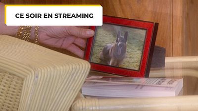 image de la news Ce soir entre amis : cela fait plus de 30 ans que les répliques de ce film s'invitent dans nos conversations