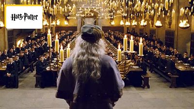 image de la news 500 000 dollars la minute : la star la mieux payée de Harry Potter n'apparaît que 30 minutes dans toute la saga !