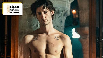 image de la news Monte-Cristo, L'Amour ouf... où voir les films nommés aux César 2025 ?