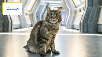 image de la news Découverte sur Netflix, cette série notée 3,9 sur 5 fait son retour pour une ultime saison !