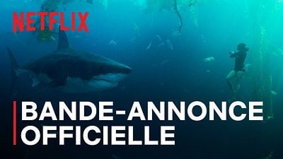 Sous la Seine: Un requin dans la Seine avant les JO de Paris