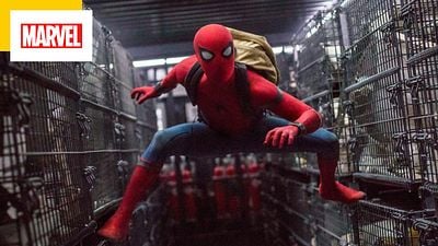 image de la news Une erreur dans Spider-Man : 6 ans après, Marvel reconnait ce raté énorme dans Homecoming