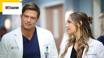 Grey's Anatomy : quand sortira la saison 20 ? On a la réponse !