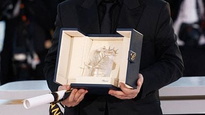 image de la news 22 films pour la Palme d'Or 2026 : qui succèdera à Un simple accident au 79e Festival de Cannes ?