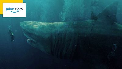 image de la news Ce requin géant vaut 530 millions de dollars :  redécouvrez ce carton sur Prime Video avant sa suite au cinéma !