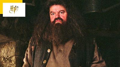 image de la news "Sans Hagrid, il n'y a pas de Poudlard" : Drago revient avec émotion sur la mort du gardien de Harry Potter