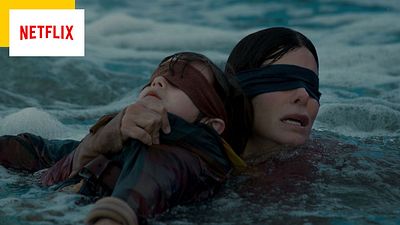 image de la news Bird Box 2 : après 5 ans d’attente, Netflix annonce enfin la suite mais tout sera différent