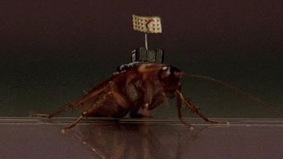 image de la news Le Cinquième élément : Luc Besson avait 16 ans quand il a imaginé ce film aux 264 millions de dollars de recettes dans le monde