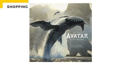 image de la news Idée cadeau de Noël : Tout l’art d’Avatar 2 dans un livre stupéfiant !