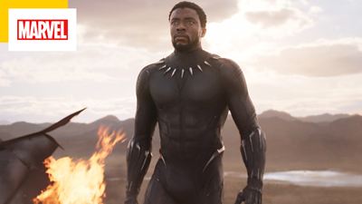 Black Panther : le costume de Chadwick Boseman entre au musée !