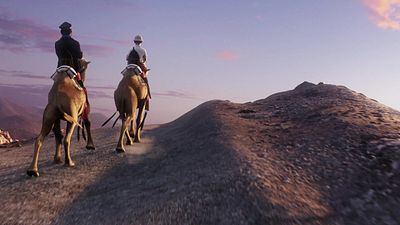 image de la news Ce soir sur Netflix : attendu par les fans depuis près de 10 ans, cet excellent film d'aventure a failli lancer une grande franchise d'animation