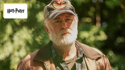 image de la news Harry Potter : c'est cet acteur qui aurait été choisi pour jouer Dumbledore et vous le connaissez tous !