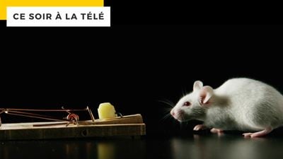 Ce soir à la télé : 5 millions d'entrées en salles, c'est le dernier gros succès de Luc Besson