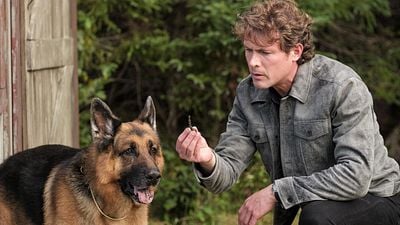 image de la news Hudson et Rex sur France 3 : ce drame qui a frappé les équipes de la série en 2024