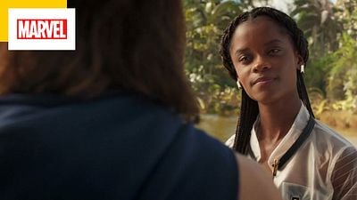 image de la news Black Panther sur TF1 : quel Avenger apparaît dans la scène post-générique du film ?