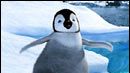image de la news Les pingouins de "Happy Feet" danseront à nouveau