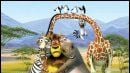 image de la news "Madagascar 2" : nouvelle bande-annonce !