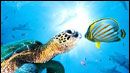image de la news "Voyage sous les mers 3D" : plongez en avant-première !