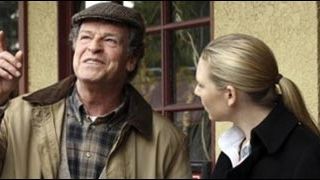 image de la news Audiences : TF1 leader grâce à "Fringe" et au foot