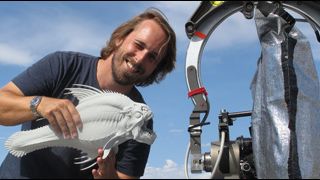 image de la news Alexandre Aja reprend Cameron de volée !