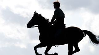 "Cheval de guerre" : premières photos du nouveau Spielberg !