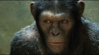 image de la news Box-office US : les singes au pouvoir !