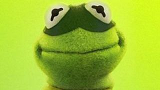image de la news Clip : OK Go s'invite chez les Muppets [VIDEO]