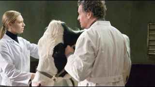 image de la news Audiences : "Fringe" reste leader