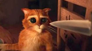 image de la news "Le Chat Potté" : le clip viral ! [VIDEO]