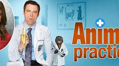 image de la news "Animal Practice" a trouvé son héroïne !