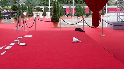 image de la news Monte-Carlo 2012 - Dimanche 10 Juin : l'instantané du jour [PHOTO]