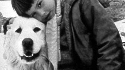 image de la news "Belle et Sébastien" de retour au cinéma !