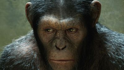 image de la news Quel réalisateur pour "Dawn of the Planet of the Apes" ? [SONDAGE]