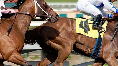 image de la news HBO et la production de "Luck" poursuivies en justice !