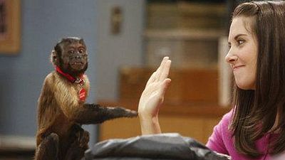 image de la news Une nouvelle bande-annonce pour la saison 4 de "Community" [VIDEO]