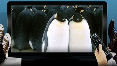 image de la news  Mater / Zapper : votre soirée TV du lundi 29 avril 2013