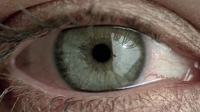 image de la news Premier trailer de "The Bridge", la série frontalière de FX